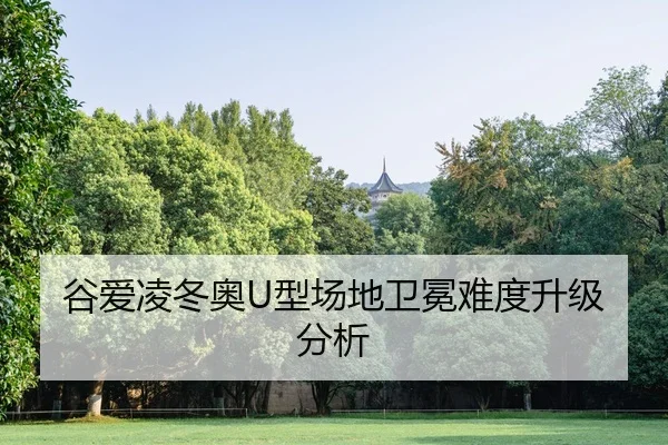 gu-ai-ling-dong-ao-xing-chang-di-wei-mian-nan-du-sheng-ji-fen-xi-2-281.jpg