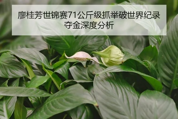廖桂芳世锦赛71公斤级抓举破世界纪录夺金深度分析