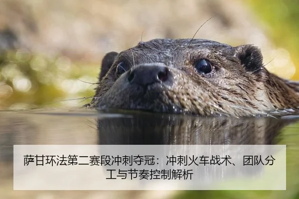 萨甘环法第二赛段冲刺夺冠：冲刺火车战术、团队分工与节奏控制解析