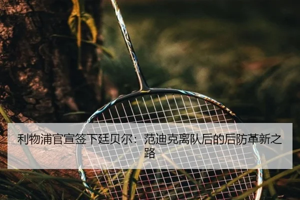 li-wu-pu-guan-xuan-qian-xia-ting-bei-er-fan-di-ke-li-dui-hou-de-hou-fang-ge-xin-zhi-lu-2-741.jpg