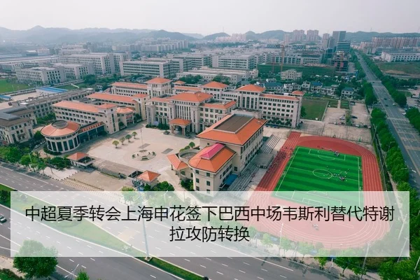 中超夏季转会上海申花签下巴西中场韦斯利替代特谢拉攻防转换