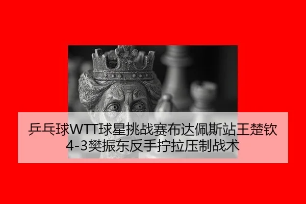 ping-pang-qiu-qiu-xing-tiao-zhan-sai-bu-da-pei-si-zhan-wang-chu-qin-fan-zhen-dong-fan-shou-ning-la-ya-zhi-zhan-shu-3-176.jpg